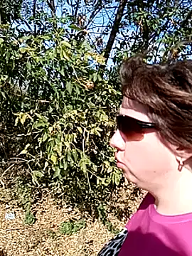 explored romantic online show from September 20, 2025, 10:38 am