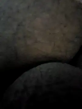 Snapshot of Mallupaiyanaachu chatting on February 3, 2025, 4:31 pm Mallupaiyanaachu online show from February 3, 2025, 4:31 pm