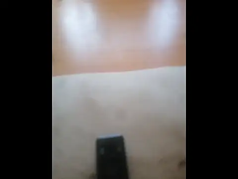 Happypotplants online show from December 14, 2025, 8:20 am