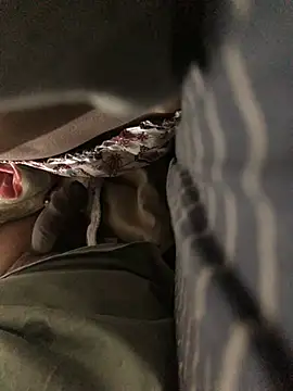 CoolBiDude online show from December 26, 2024, 6:12 pm