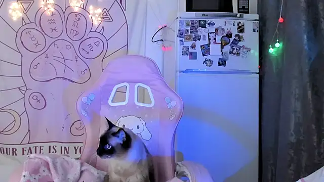 Snapshot of Holy420lolii chatting on January 18, 2026, 6:23 pm Holy420lolii online show from January 18, 2026, 6:23 pm