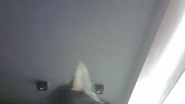 Skinny-Kitten online show from April 10, 2026, 12:43 pm