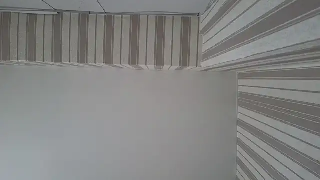 lily  foster online show from September 22, 2025, 5:42 am