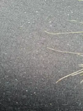 Snapshot of Evehampy chatting on December 1, 2024, 6:08 pm Evehampy online show from December 1, 2024, 6:08 pm