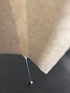 alieno27 online show from December 28, 2024, 10:02 pm