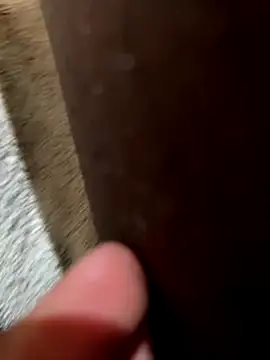 la chiennete online show from November 18, 2025, 9:30 pm