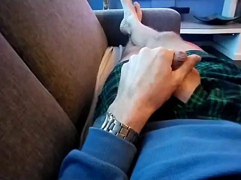 Snapshot of jk1981jk chatting on November 16, 2025, 7:14 am jk1981jk online show from November 16, 2025, 7:14 am