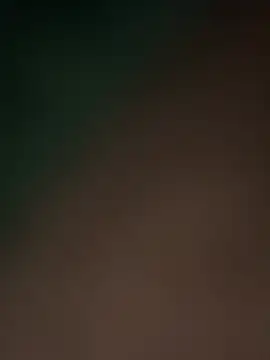 Terrafirma online show from February 16, 2025, 11:49 am