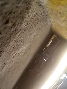 will1980 online show from February 18, 2026, 12:34 pm