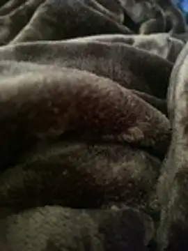 Snapshot of ft2022W chatting on March 7, 2026, 6:16 pm ft2022W online show from March 7, 2026, 6:16 pm