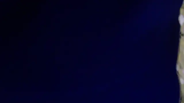 -AyeshaSinghania- online show from February 13, 2026, 1:45 am