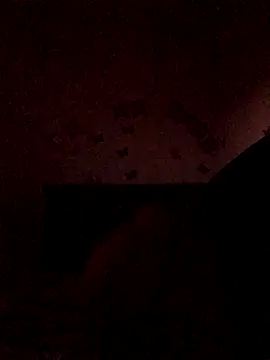 The wickles 4443 online show from November 22, 2025, 11:04 pm