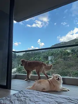 Snapshot of Helenbronwx chatting on January 17, 2025, 9:28 pm Helenbronwx online show from January 17, 2025, 9:28 pm