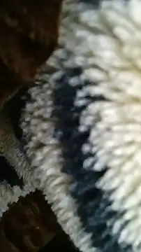 Bigcockmexi13 online show from June 30, 2026, 8:21 pm