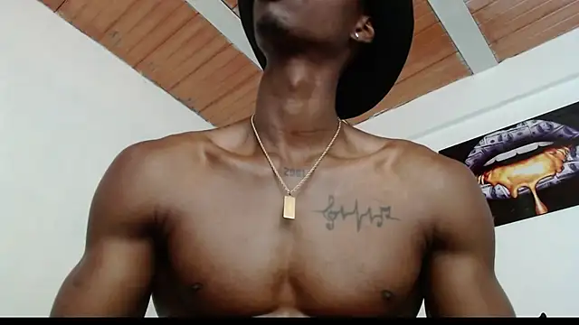 drake brwon 23 online show from January 26, 2025, 3:03 pm