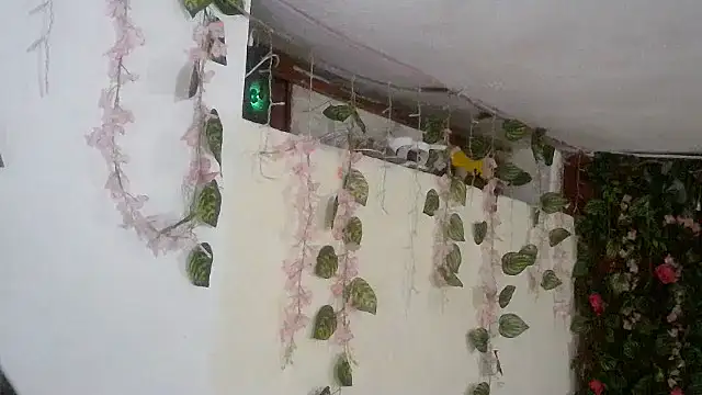 Snapshot of emmafox_ls chatting on November 2, 2025, 11:29 pm emmafox ls online show from November 2, 2025, 11:29 pm