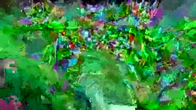 bigdon5169 online show from May 1, 2026, 2:54 pm