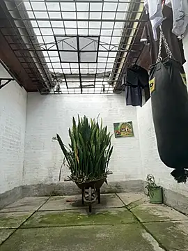 oliver price1 online show from February 17, 2026, 3:08 pm